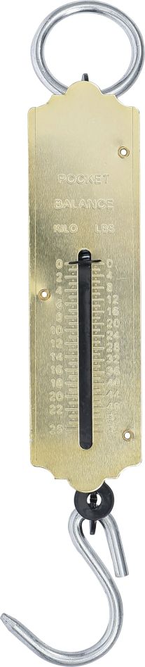 BGS Do It Yourself 8033 Hängewaage max. 25 kg