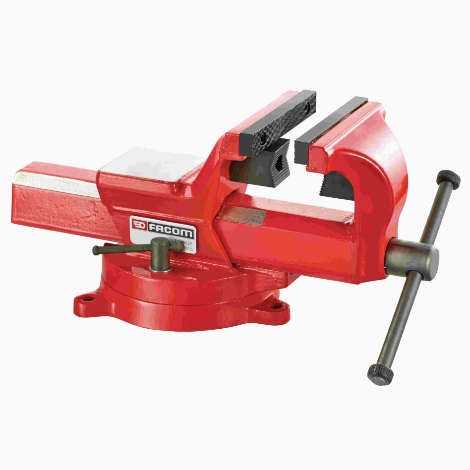 Facom 1224.175 235 mm Schraubstock für Industrie und Wartung 360° drehbar