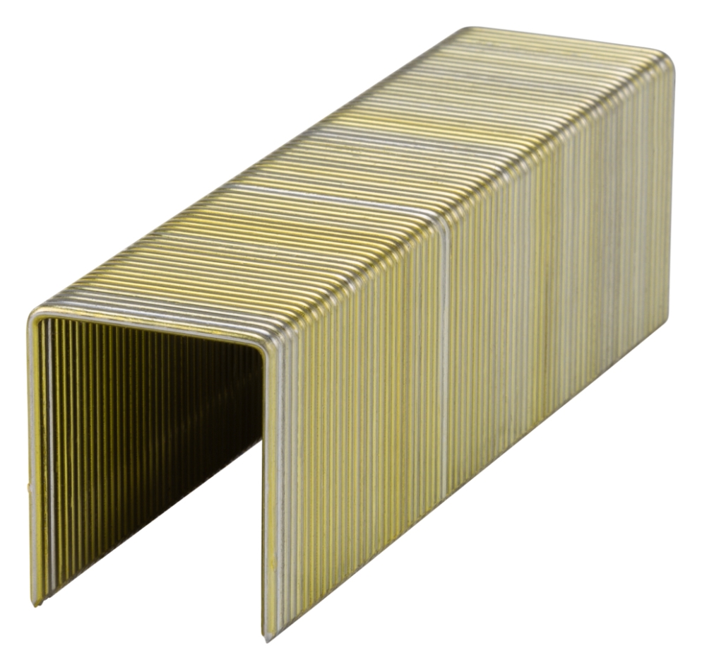 Makita Zubehör F-32036 Nicht breite Krone 16GA Breite 25,6 mm Länge 32 mm verzinkt 10000 Stück